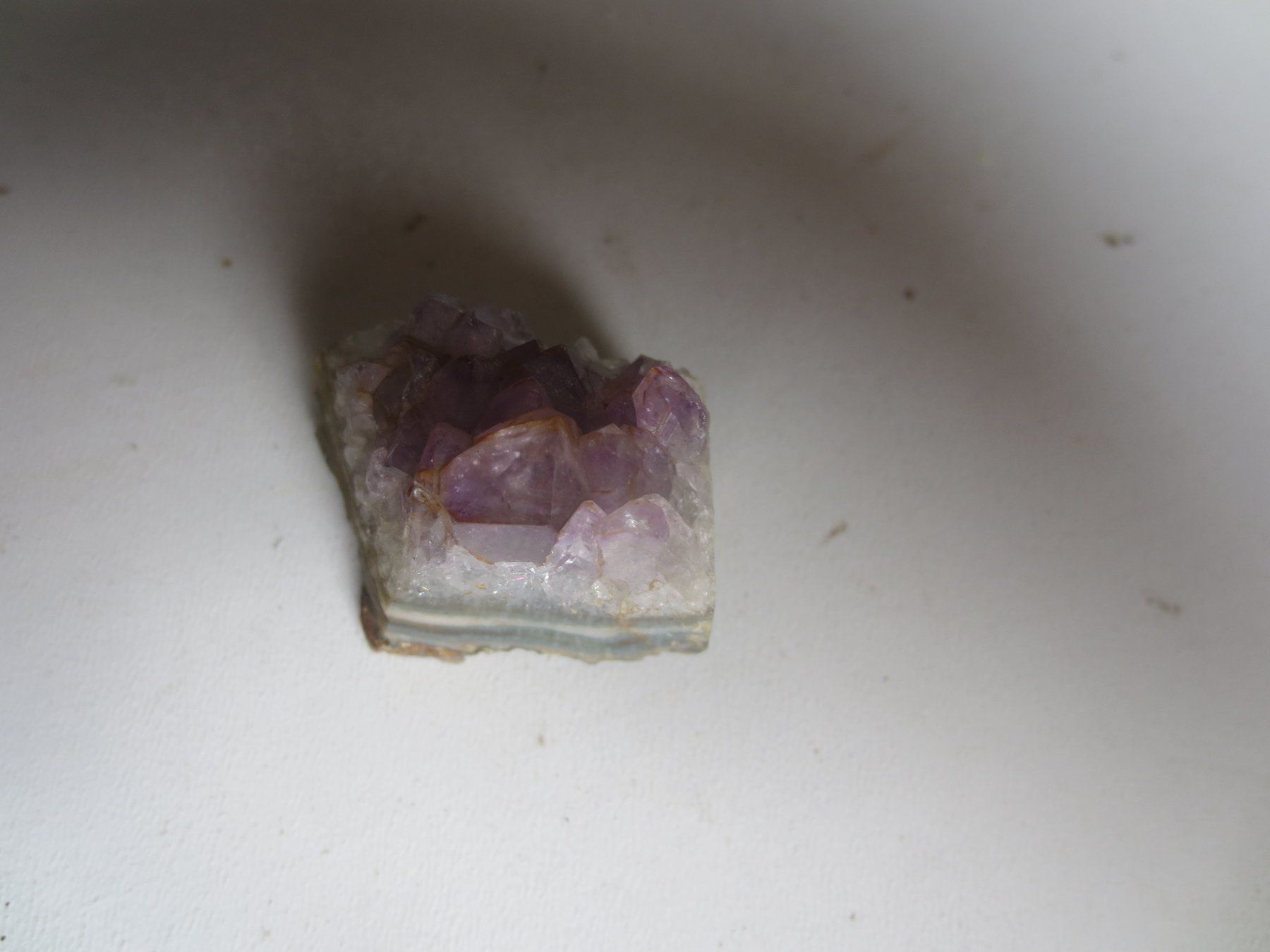 Minerali & Pietre curative: Amethyst Cluster 3 – Usato da Weier im Emmental venduto da waefler03