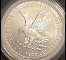 Silbermuenze 1 oz Fine Silver One Dollar 999,9