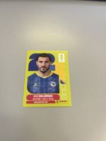 Panini 2026