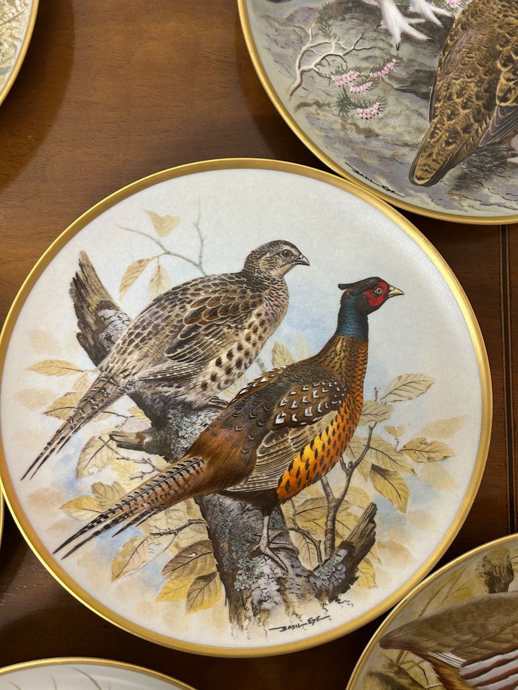 Teller: Les Oiseaux Sauvages Du Monde – Neu (gemäss Beschreibung) aus Gümligen von chrigirici 5