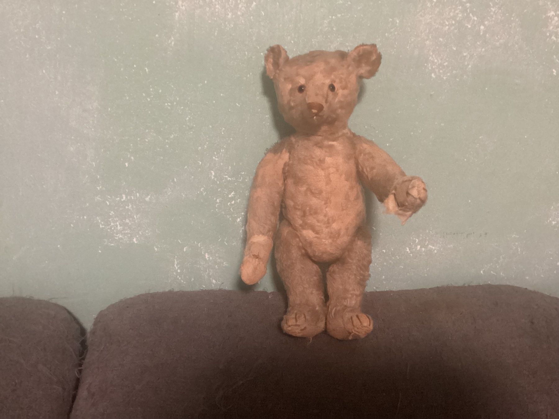 Steiff Giocattoli: ANTIKER STEIFF TEDDY 1910/1920 – Usato da Münchenstein venduto da NoSu98 4