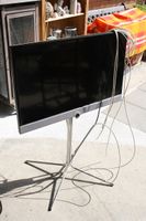 TV Löwe auf Ständer 73x45cm