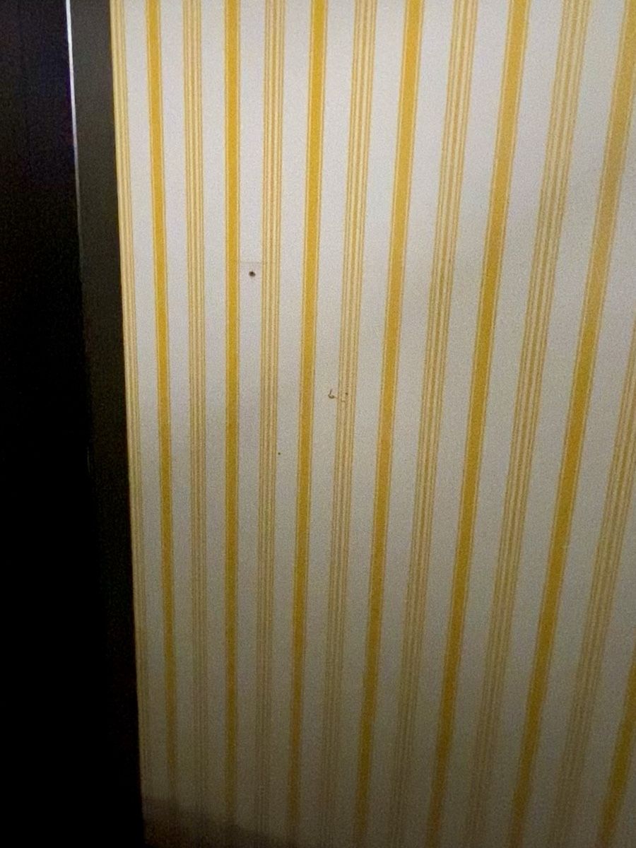 Armadi: Gebrauchter Kleiderschrank 100cm x 197.5cm – Usato da Kaltbrunn venduto da CookieX 4