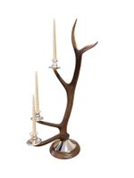 Elegante Candeliere in Asta di Cervo per 5 Candele 1