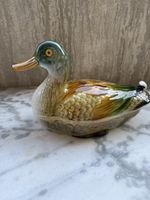 Canard 
