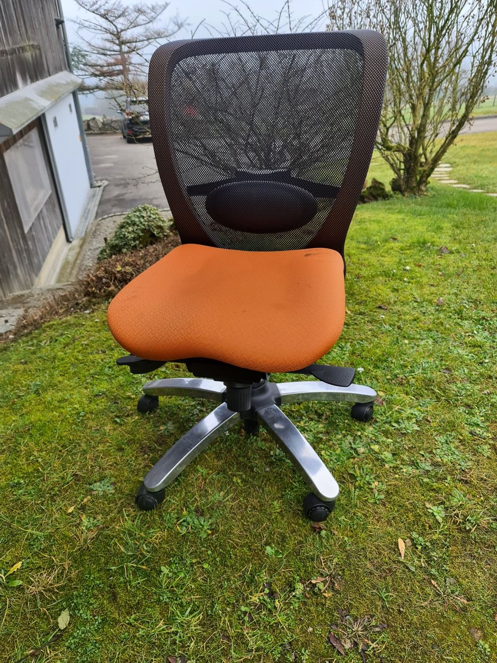 Sedie: Ergonomischer Bürostuhl, OMLIN orange – Usato da Niederlenz venduto da DaveDasWahnsinn 1
