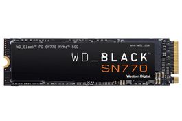 WESTERN DIGITAL  WD_BLACK SN770 NVMe SSD, 1 TB (WDS100T3X0E)