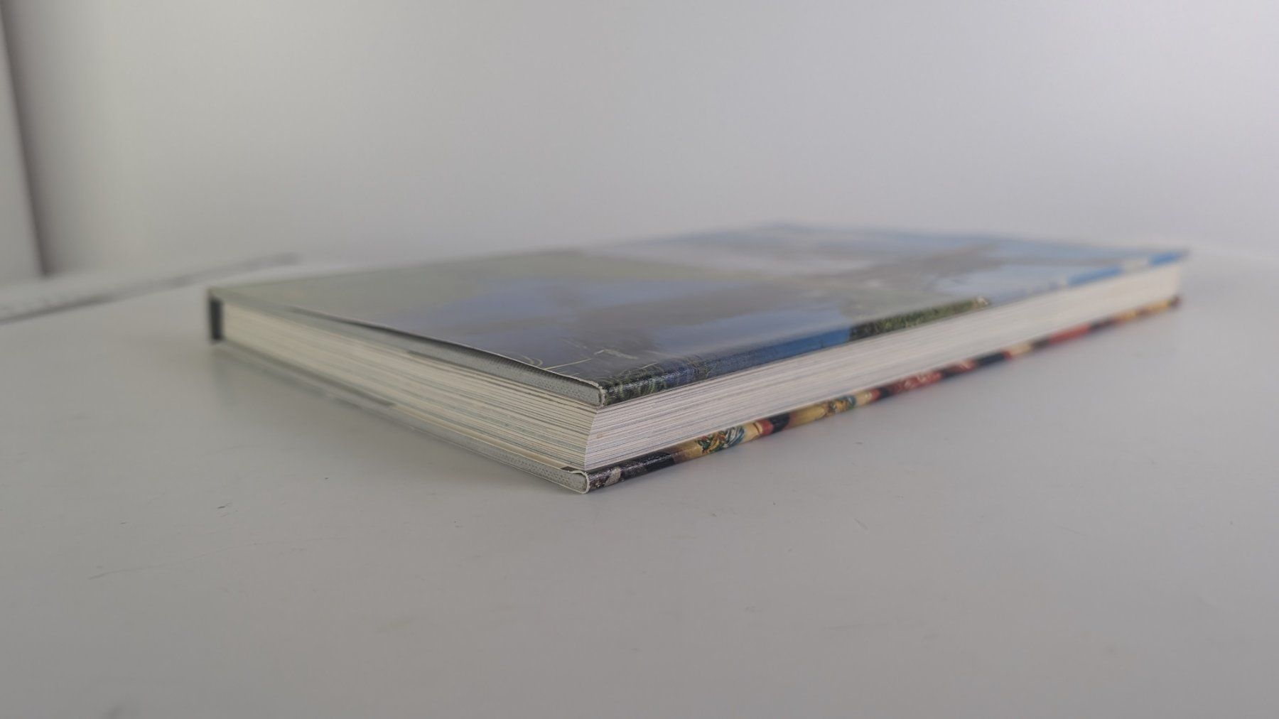 Libri: Holland – Silva 1975 – Usato da Zürich venduto da axolottchen 3