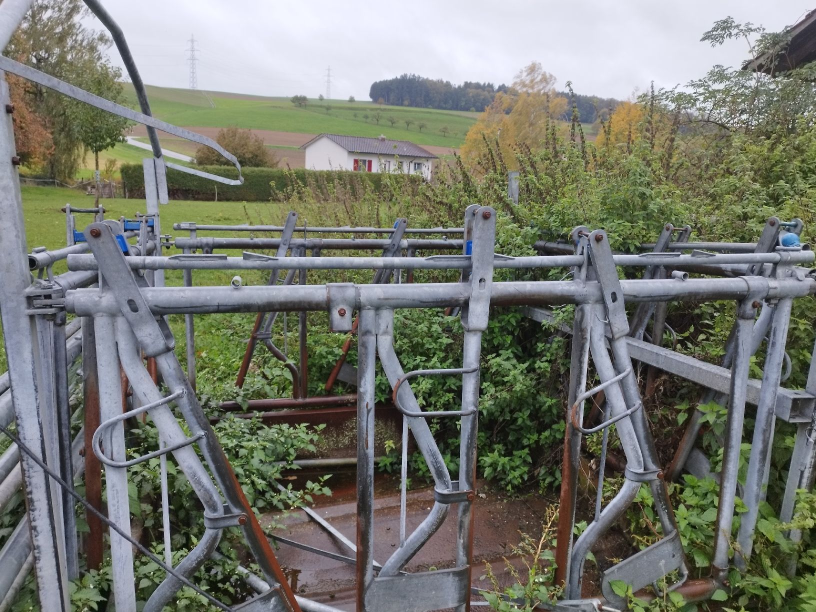 Futter: futterraufe – Gebraucht aus Winistorf von mamisch 1