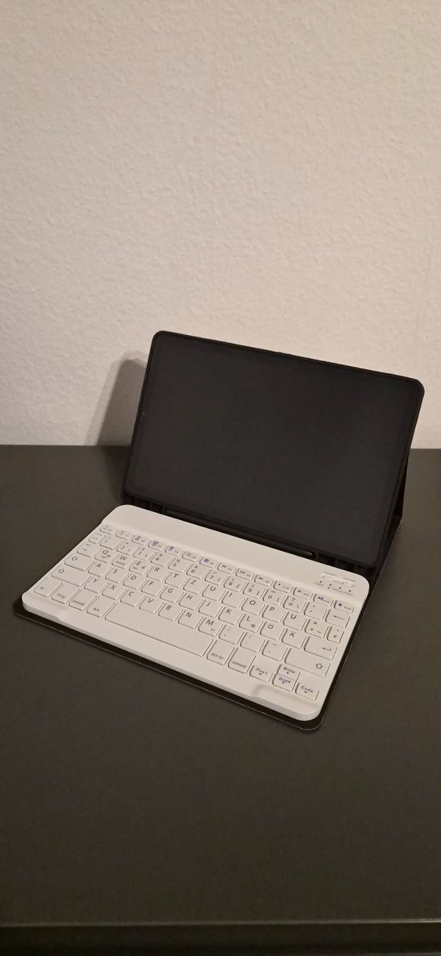 Samsung Tablet PC: Samsung Tab S6 Lite – Usato da Emmenbrücke venduto da szalajka6