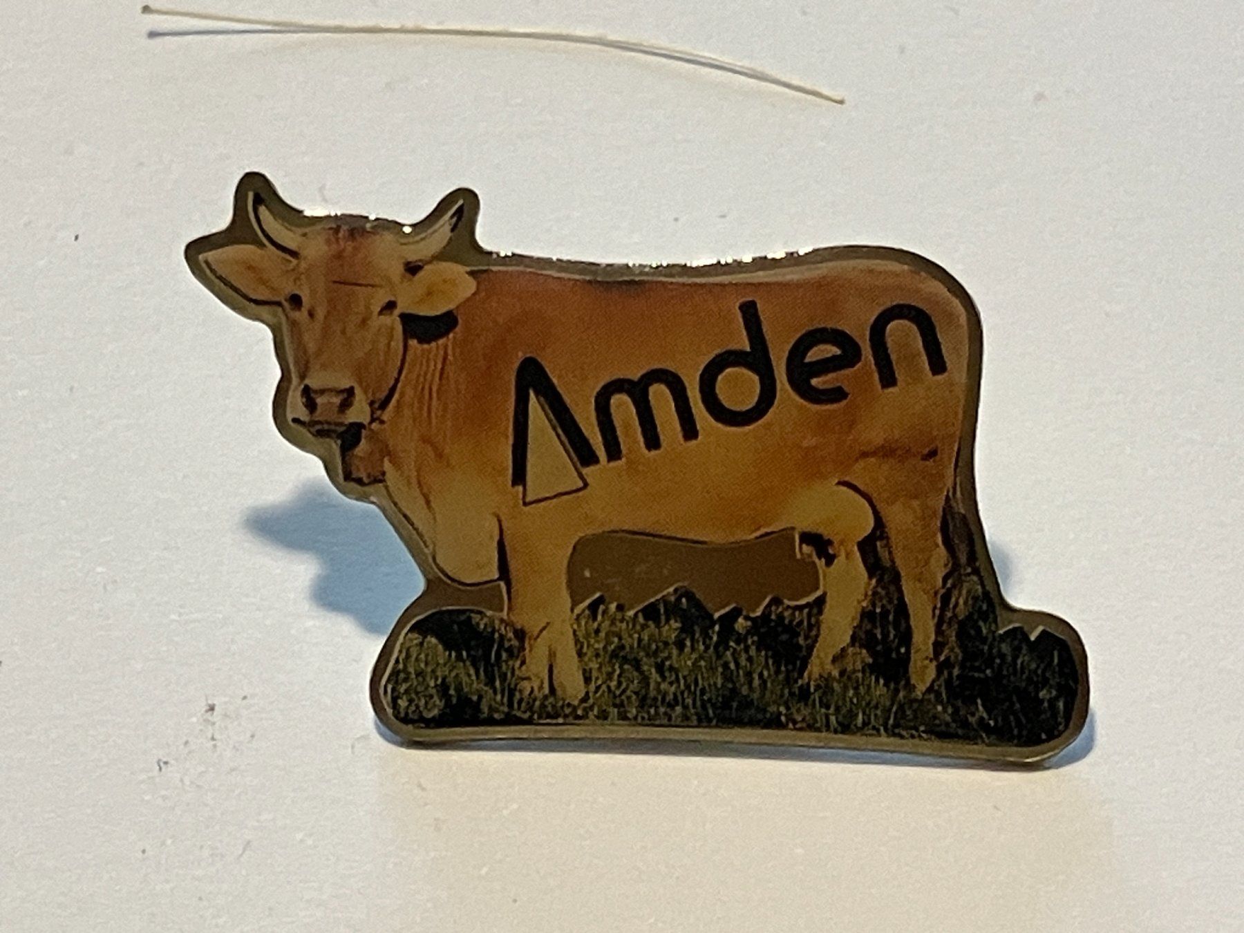 Placchette & Badge: 1 Pin Amden – Usato da Basel venduto da djwwpp