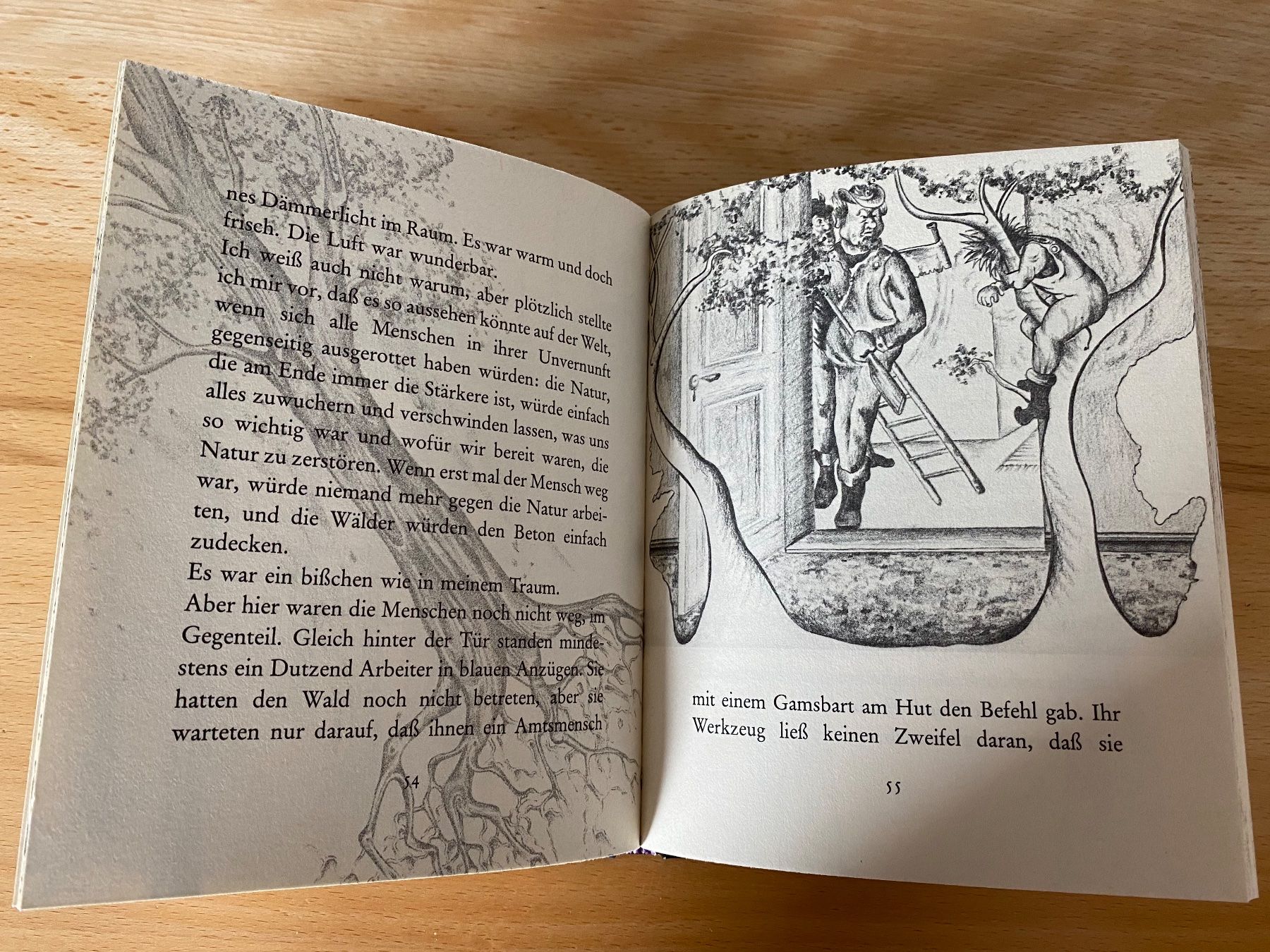 Libri: Der Wald unterm Dach - Rudolf Herfurtner – Usato da Schwarzenburg venduto da Michellu 7