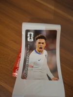 Panini Coca cola Antonee Robinson USA FIFA