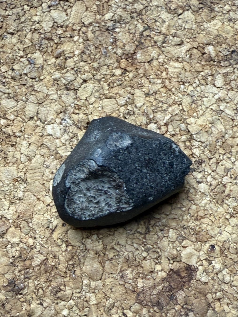 Minerali & Pietre curative: Meteorit Chondrit NWA Sahara 32Gramm – Usato da schüpfen venduto da rica122 2