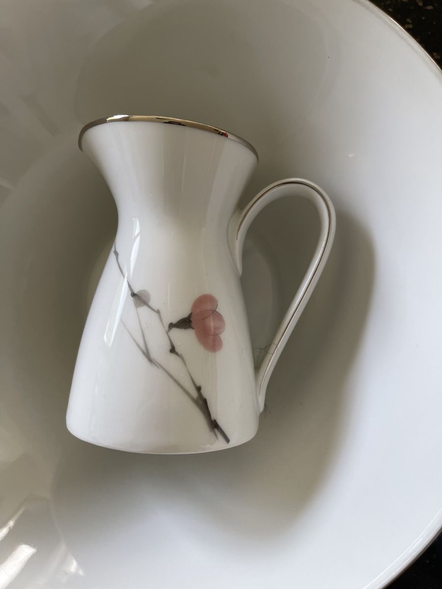 Rosenthal Services de table: Rosenthal Geschirr mit Platinrand – D'occasion à St. Niklaus VS par DaDoLo