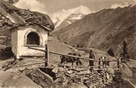 Saas Fee   VS  -   Kuh-Bauer bei der Kapelle