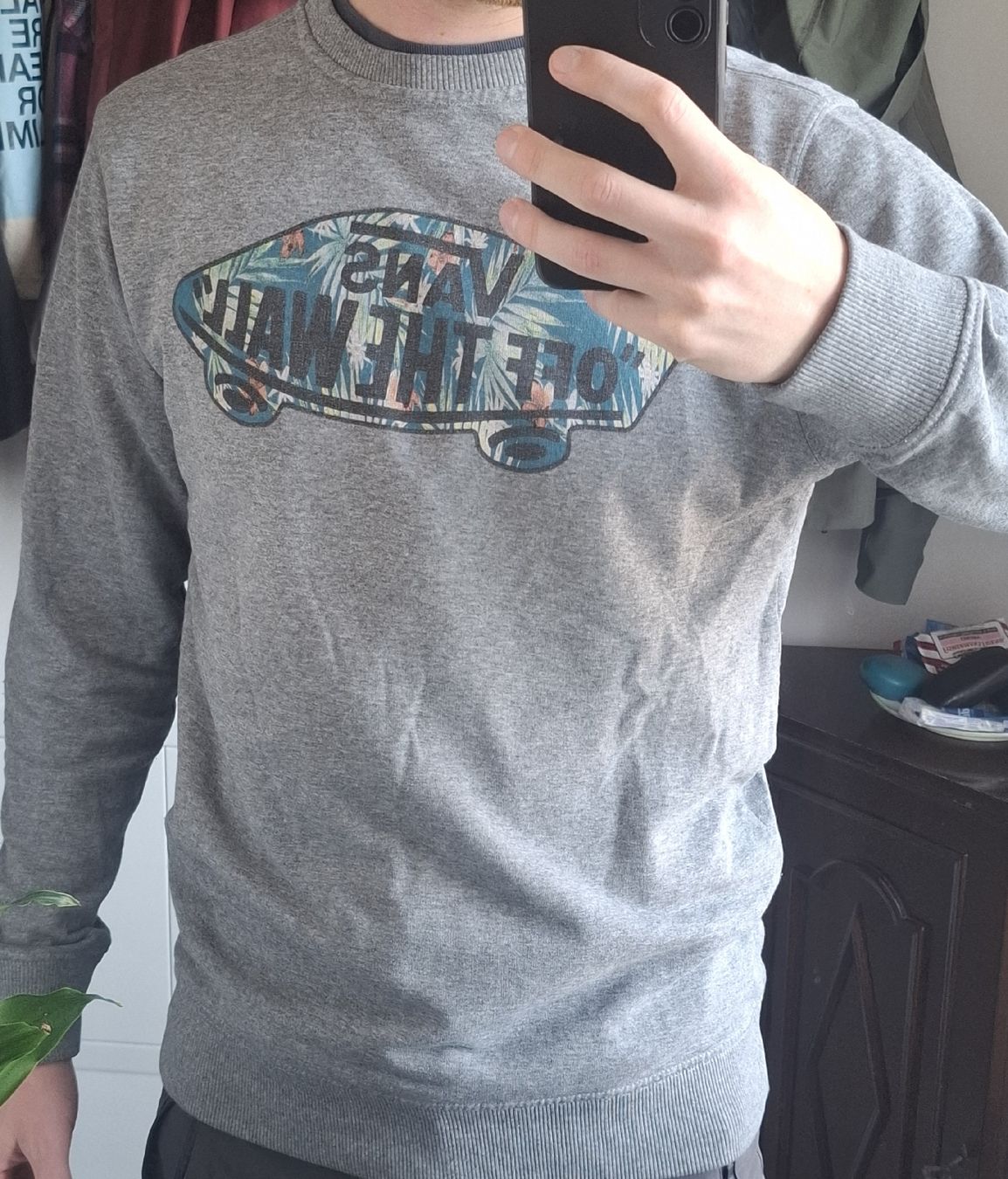 Pulls & Sweat-shirts: Vans Sweater grau mit Logo-Print. – D'occasion à Triengen par sil_dr9b