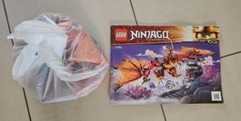 LEGO Ninjago Set „Feuerdrache der Ninja“