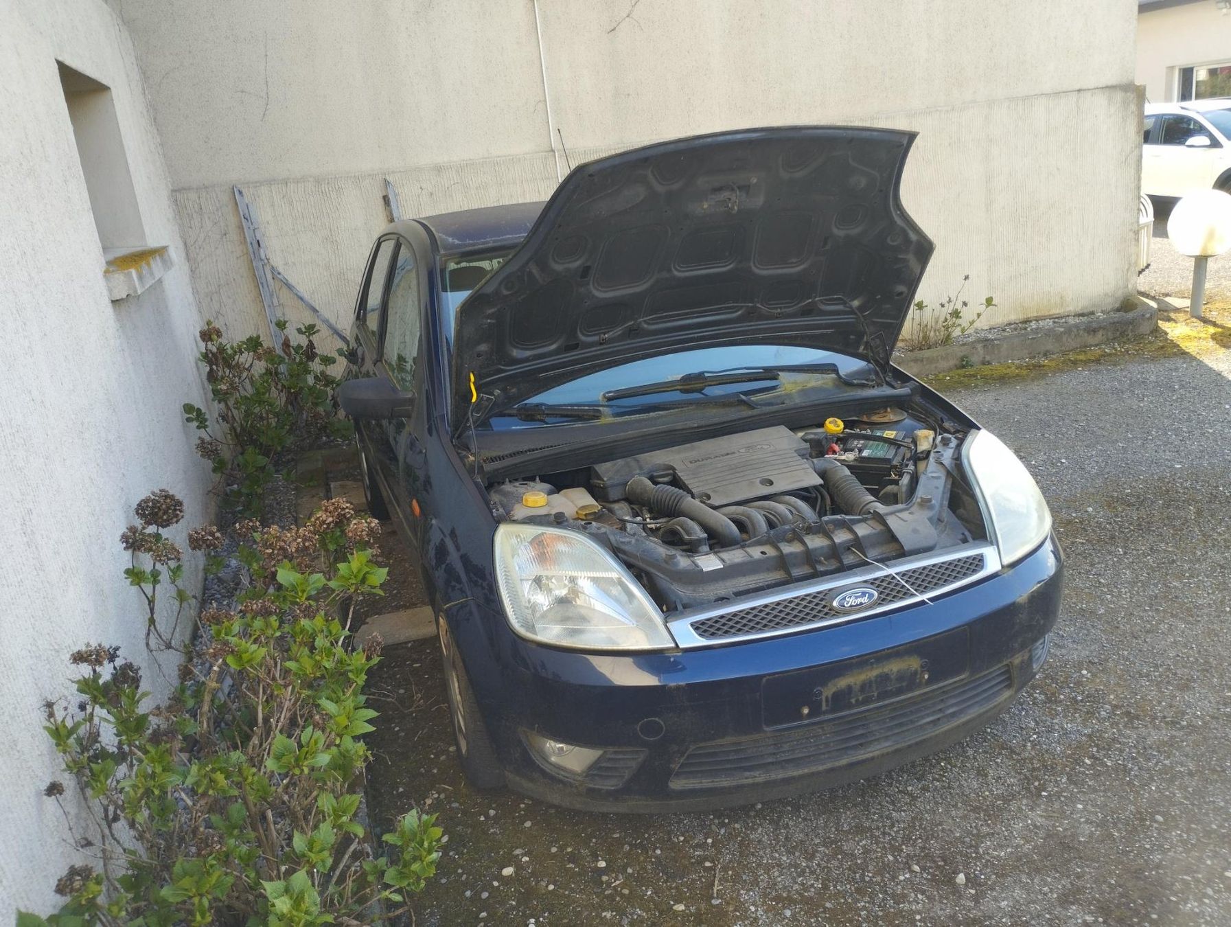 Ford Automobili: ford fiesta – Usato da Meyrin venduto da pajo71