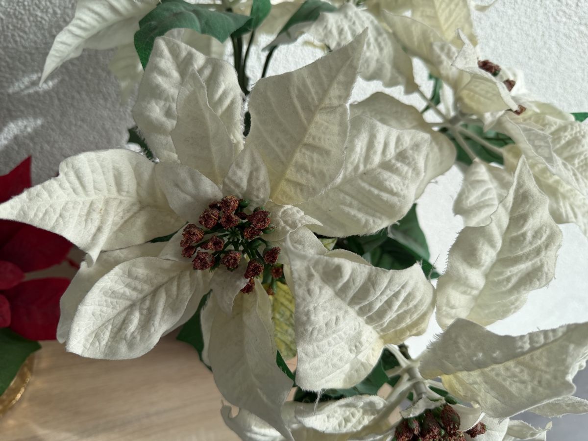 Tutte le decorazioni: Deco Weihnachtsstern Kunstblumen – Nuovo (secondo la descrizione) da Bettlach venduto da Tradenet100 4