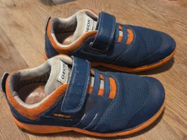 Turnschuhe Geox,Gr. 31