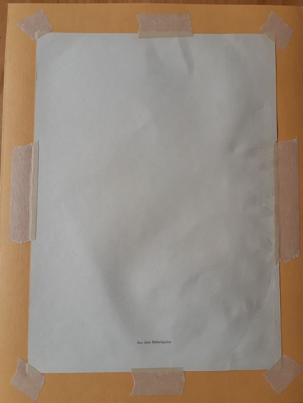 Grafica & Litografie: Nr. 15 original Litho Nebelspalter – Usato da Grindelwald venduto da carro5 3