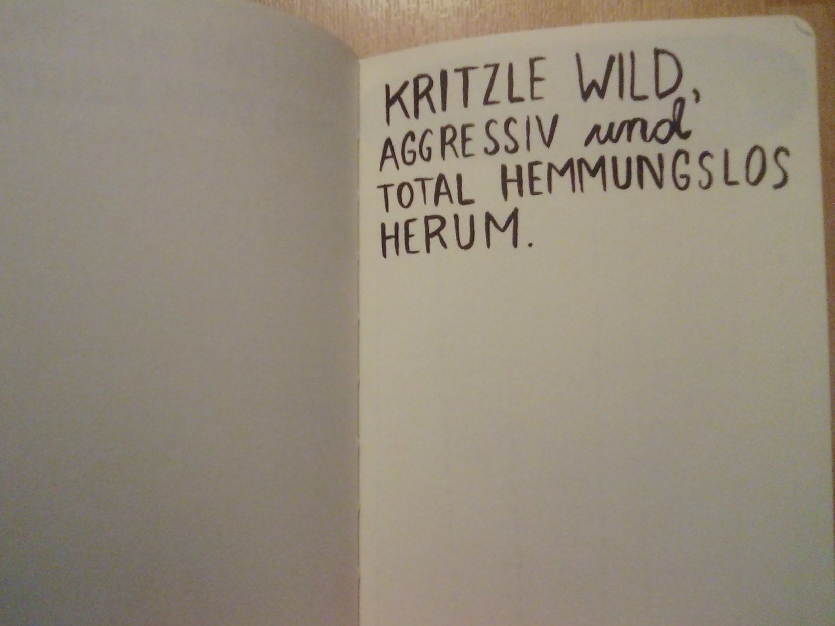 Libri: Mach dieses Buch fertig Keri Smith – Nuovo (secondo la descrizione) da Winterthur venduto da Colonica 5