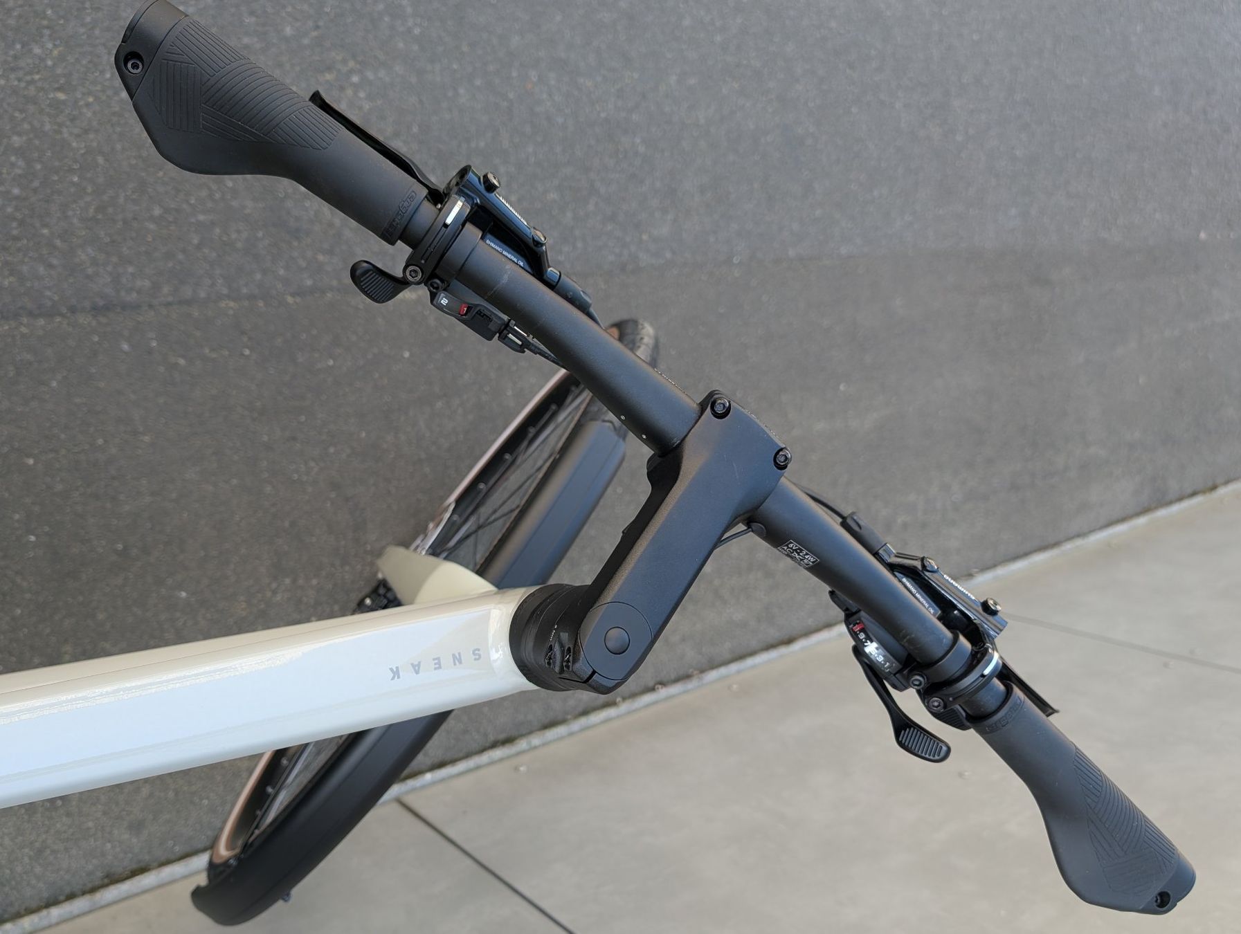 Rose Biciclette: Rose Sneak 2 EQ – Usato da Luzern venduto da THpedro 6