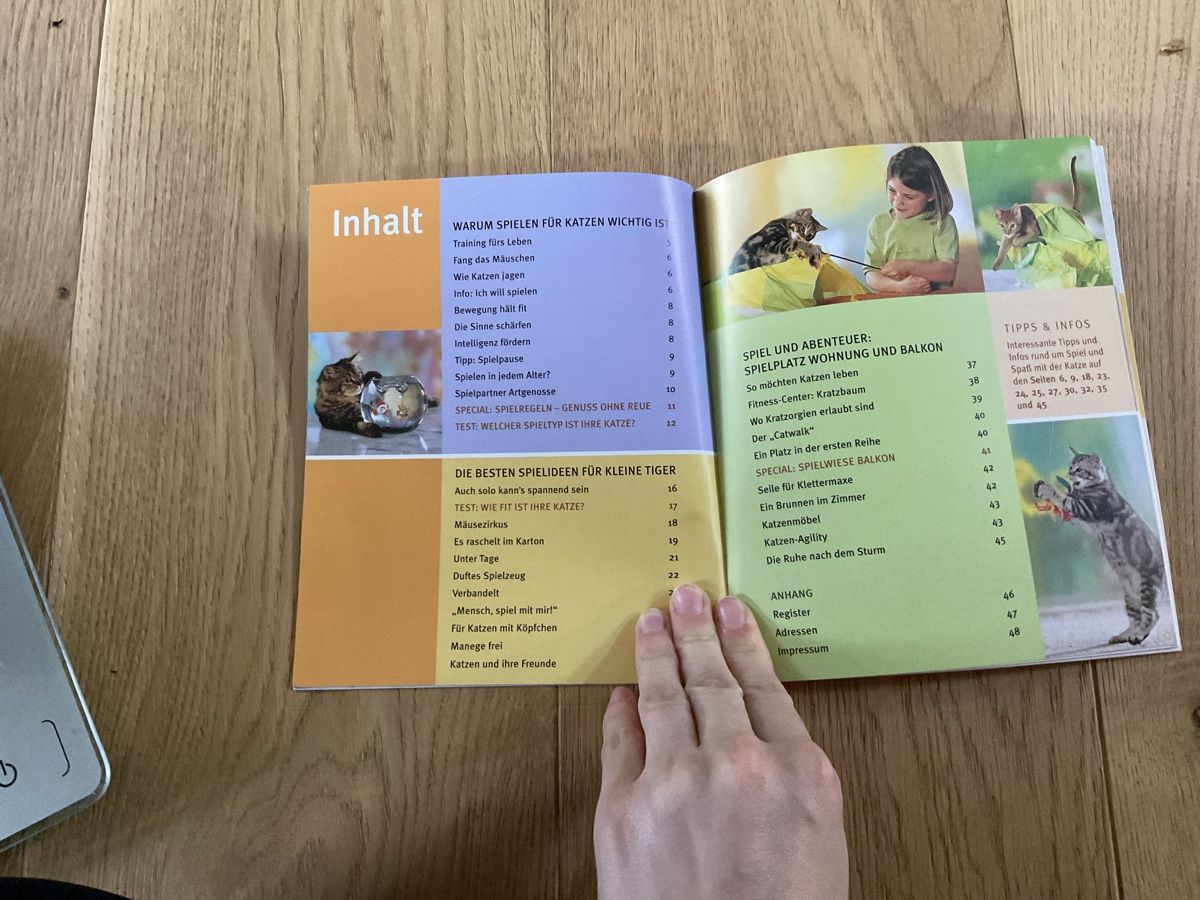 Bücher: Katzen Spiele Buch: pfiffig, spassig & spannend – Gebraucht aus Wichtrach von Aramis3628 1