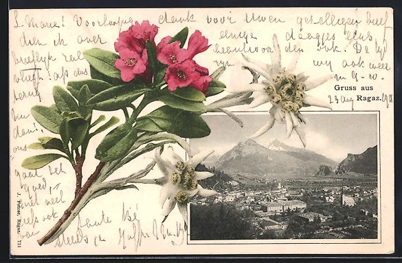 Cartes postales: AK Ragaz, Ortsansicht mit Edelweiss – D'occasion à Berlin par bartko-reher