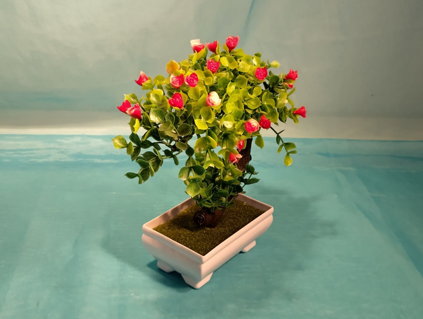 Pflanzen & Samen: Bonsai Bäumchen, Kunstpflanze – Neu (gemäss Beschreibung) aus Bellach von JingleCherry 3
