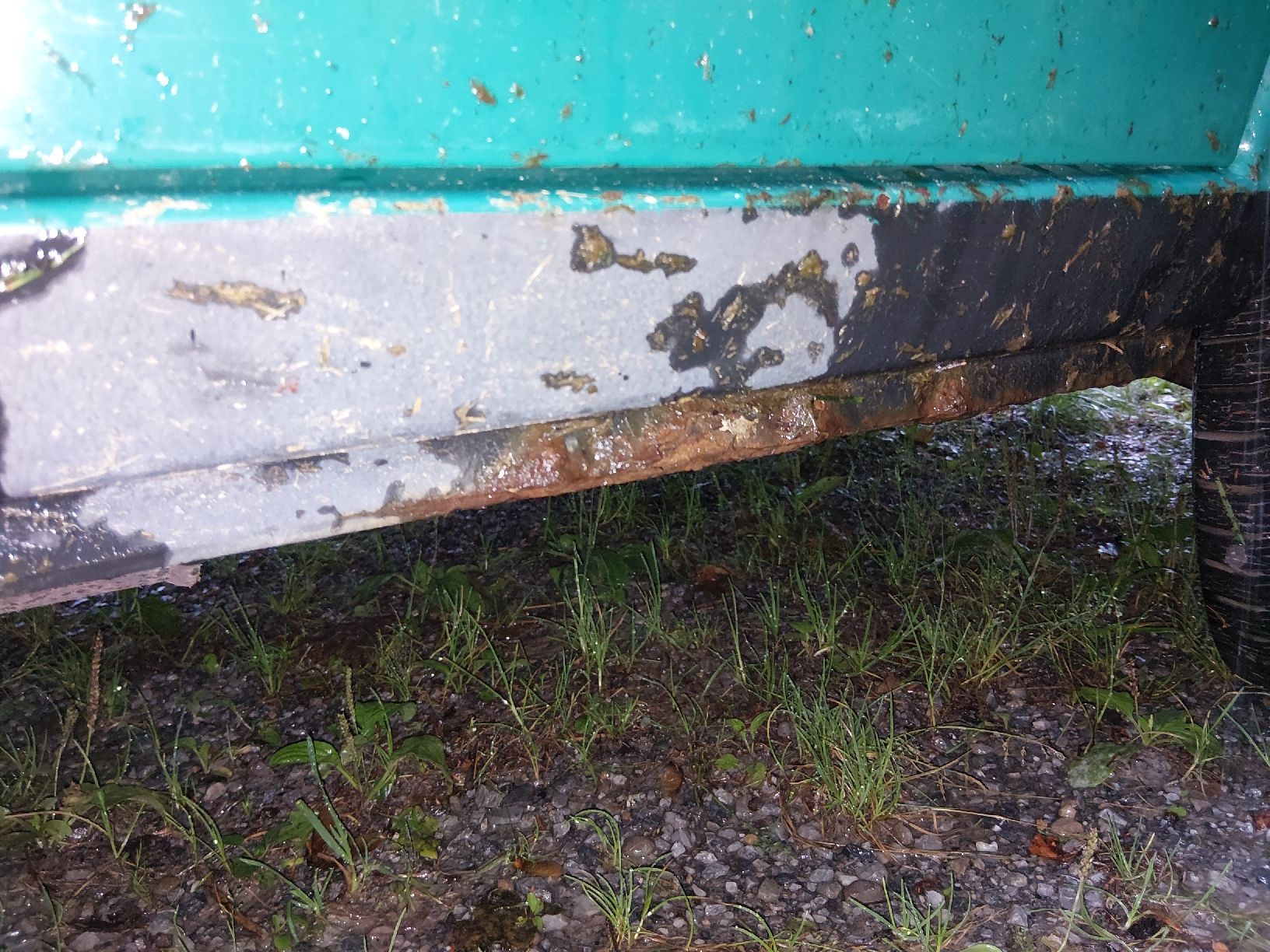 VW Automobili: VW T4 Syncro Swiss Profi mit Differenzialsperre – Usato da Wald ZH venduto da Beobachtungswagen 4