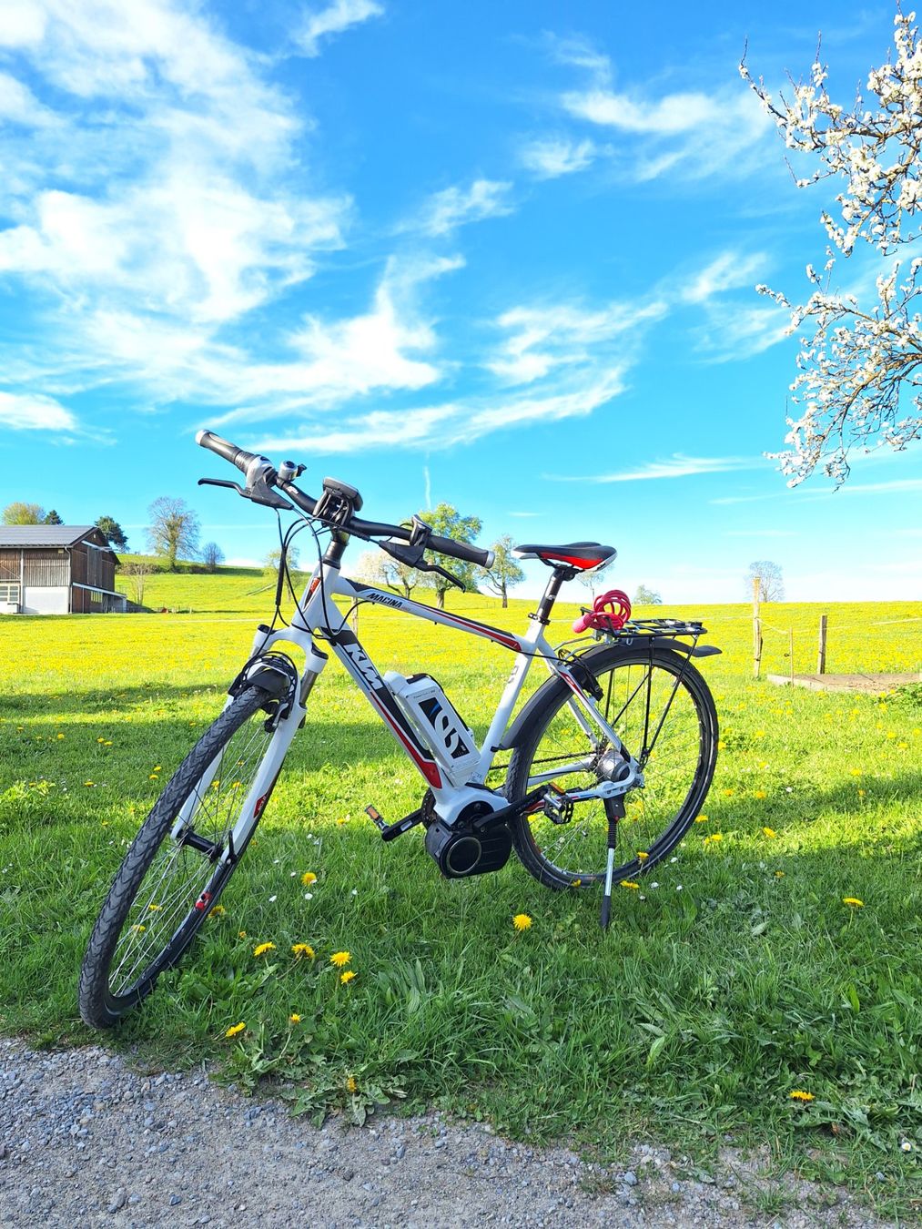 KTM Velos: E-Bike KTM Macina Cross – Gebraucht aus Fischingen von sohu02