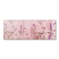 Glasbild Zarter Lavendel 120x50cm (neu, UVP 154.00 Fr.)