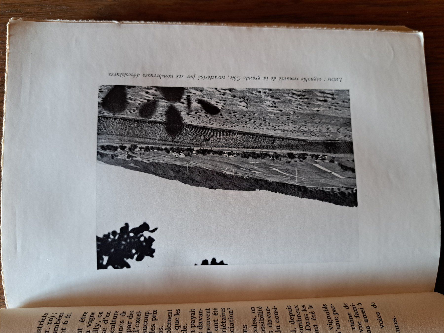 Libri: Ancien livre 1944 - Le vigneron vaudois – Usato da Pailly venduto da jme99 4