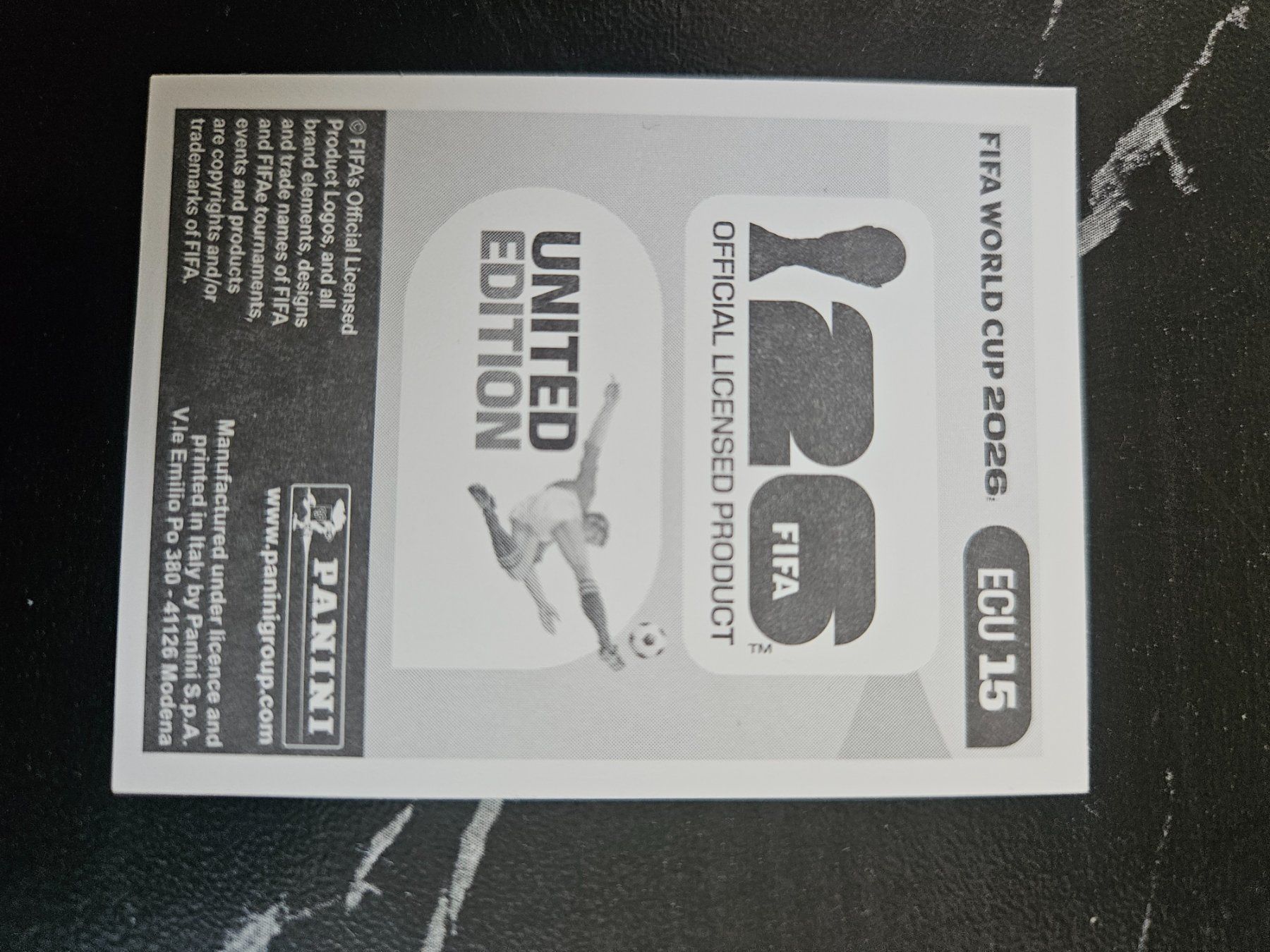 Panini Carte collezionabili: ECU15 – Usato da Würenlingen venduto da Dinli 1