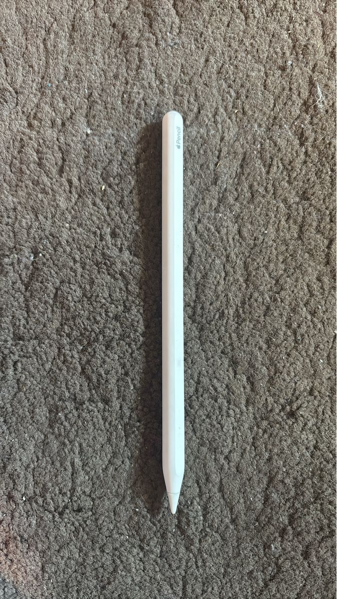 Apple Penna & Evidenziatori: Apple Pencil Pen 2 fast nie grebraucht – Usato da Zürich venduto da hiddentreasures_zh