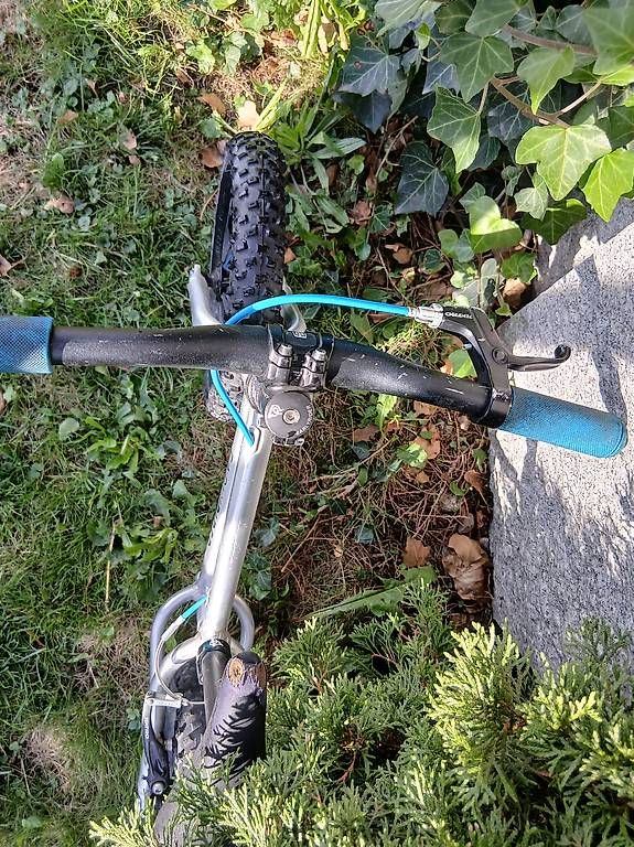 Veicoli per bambini: Early Rider Laufrad mit Hinterradbremse – Usato da Dietfurt venduto da Many06 1