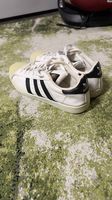Adidas Superstar  Grösse 42