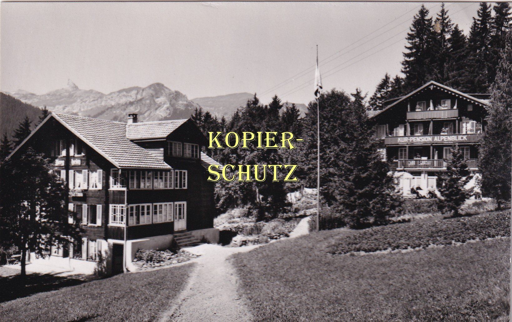 Cartoline postali: Wengen - Pension Alpenblick – Usato da Hombrechtikon venduto da Rudolf07