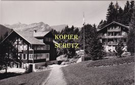 Wengen - Pension Alpenblick
