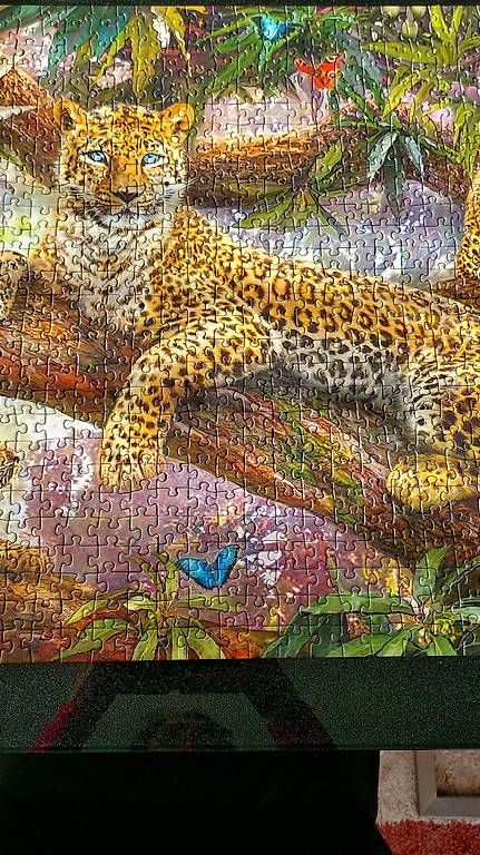 Puzzles: Puzzle – Gebraucht aus Nürensdorf von conceicao74 2