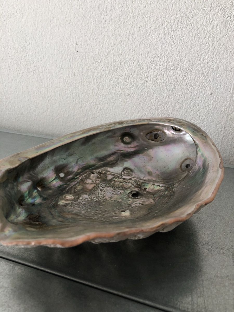 Minerali & Pietre curative: Schöne große Abalone-Muschel – Usato da Basel venduto da Amechan. 5