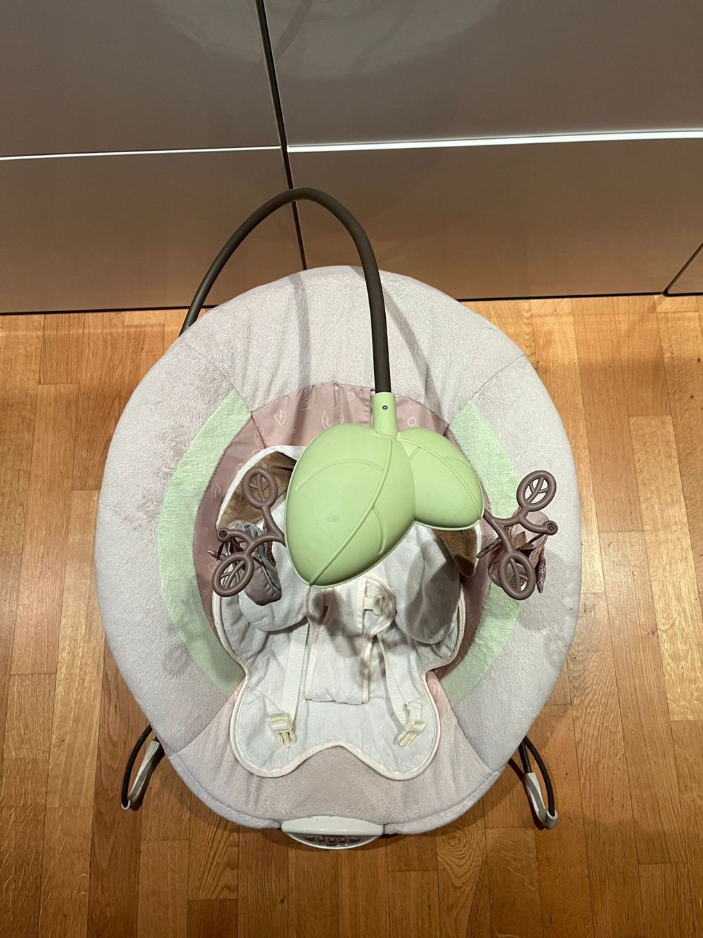 Baby Wippe Fisher-Price (Gebraucht) in Zug für CHF 1 – nur Abholung auf  Ricardo kaufen