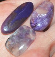 Cabochon Set L-1367 – Charoit Edelstein – 3 Stück