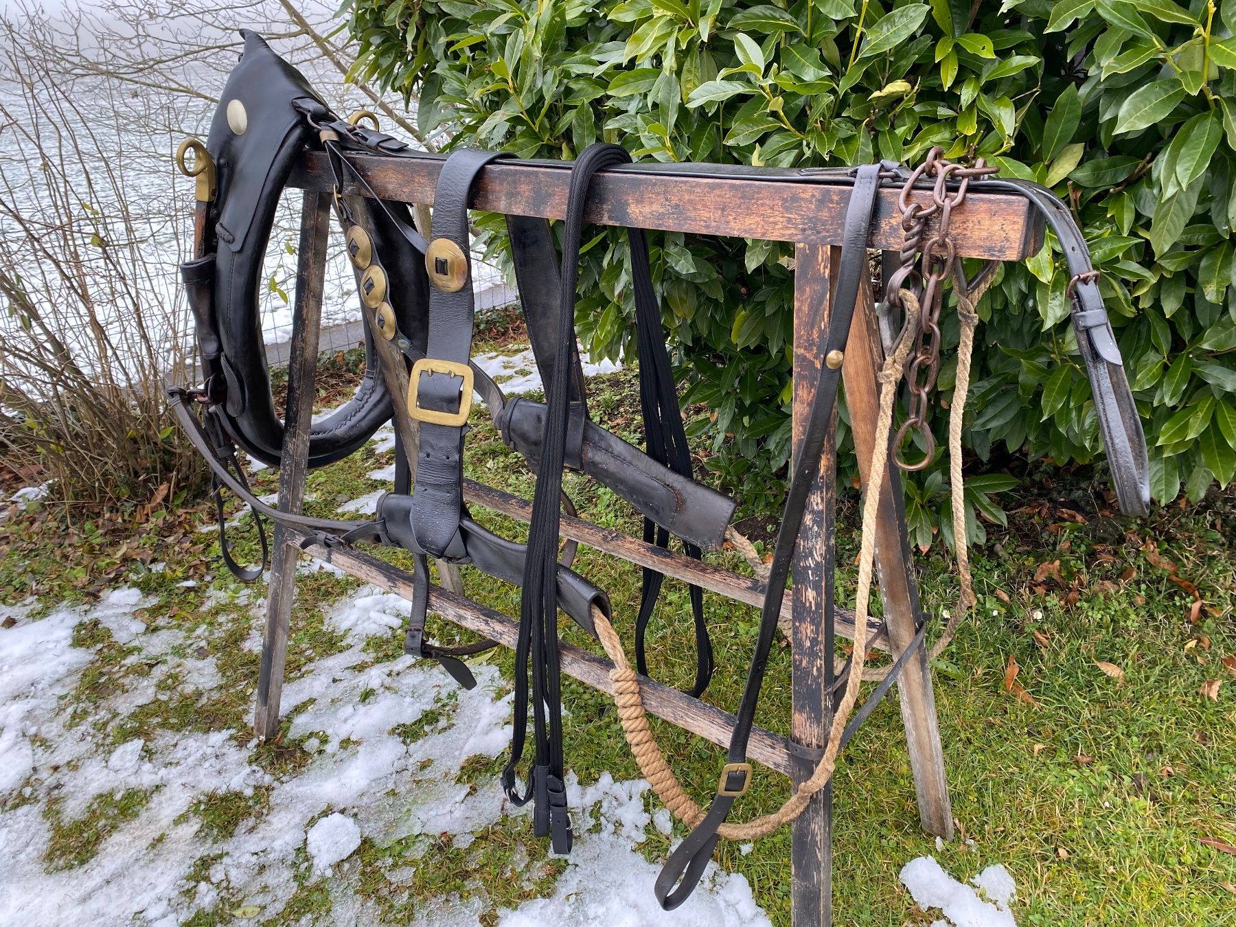 Campanacci mucche: schönes Spitzkummetgeschirr – Usato da Feldbach venduto da Fea1 3