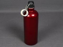 SIGG SWITZERLAND Trinkflasche mit Ersatzringen Rot