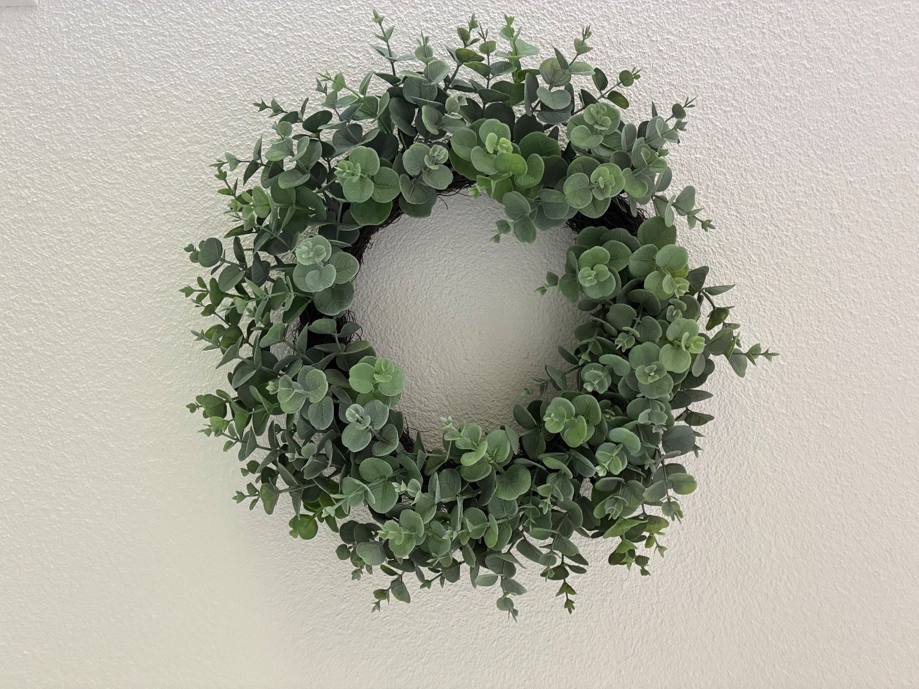 Tutte le decorazioni: Eucalyptus- Kranz künstlich 50cm – Usato da Frick venduto da sandra037 1
