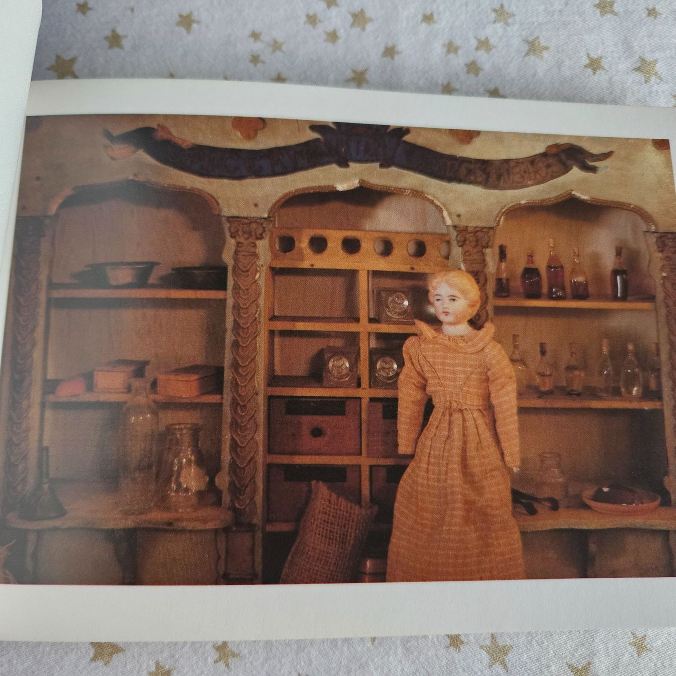 Libri: Puppenleben, Elke Dröscher – Usato da Uster venduto da Sonnenblume212 1