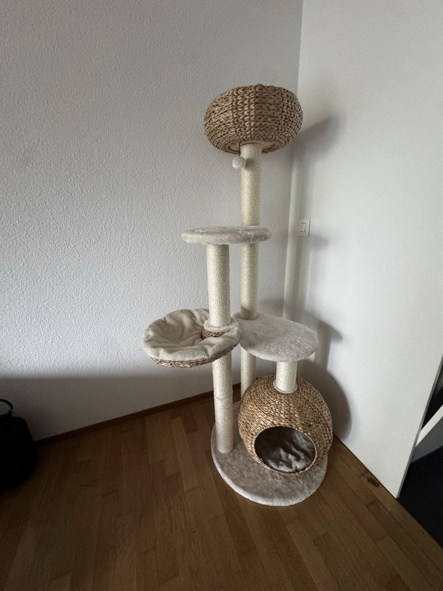 Tiragraffi: Kratzbaum für Katzen – Nuovo (secondo la descrizione) da Urtenen-Schönbühl venduto da m19_2fdb
